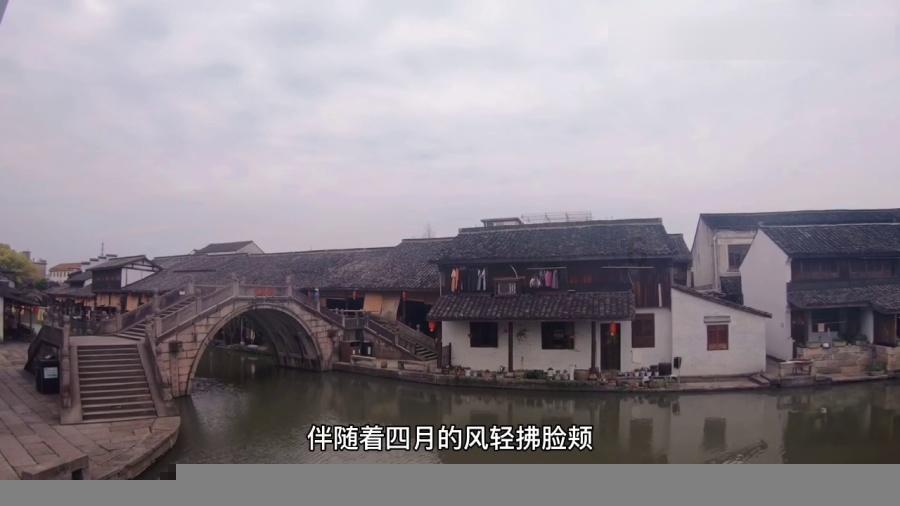 唯一的幸存者